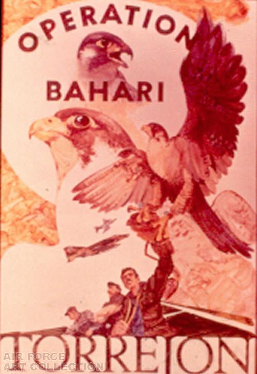 OPERATION BAHARI